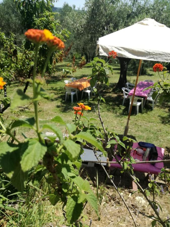 Vacanze In Collina, Tra Mare E Monti Bucchianico Exterior foto